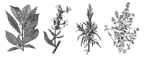 https://www.arom-ethic.fr/wp-content/uploads/2017/10/herbes-aromatiques-bio.jpg